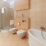 Rynek - Zielona Kamienica Apartment